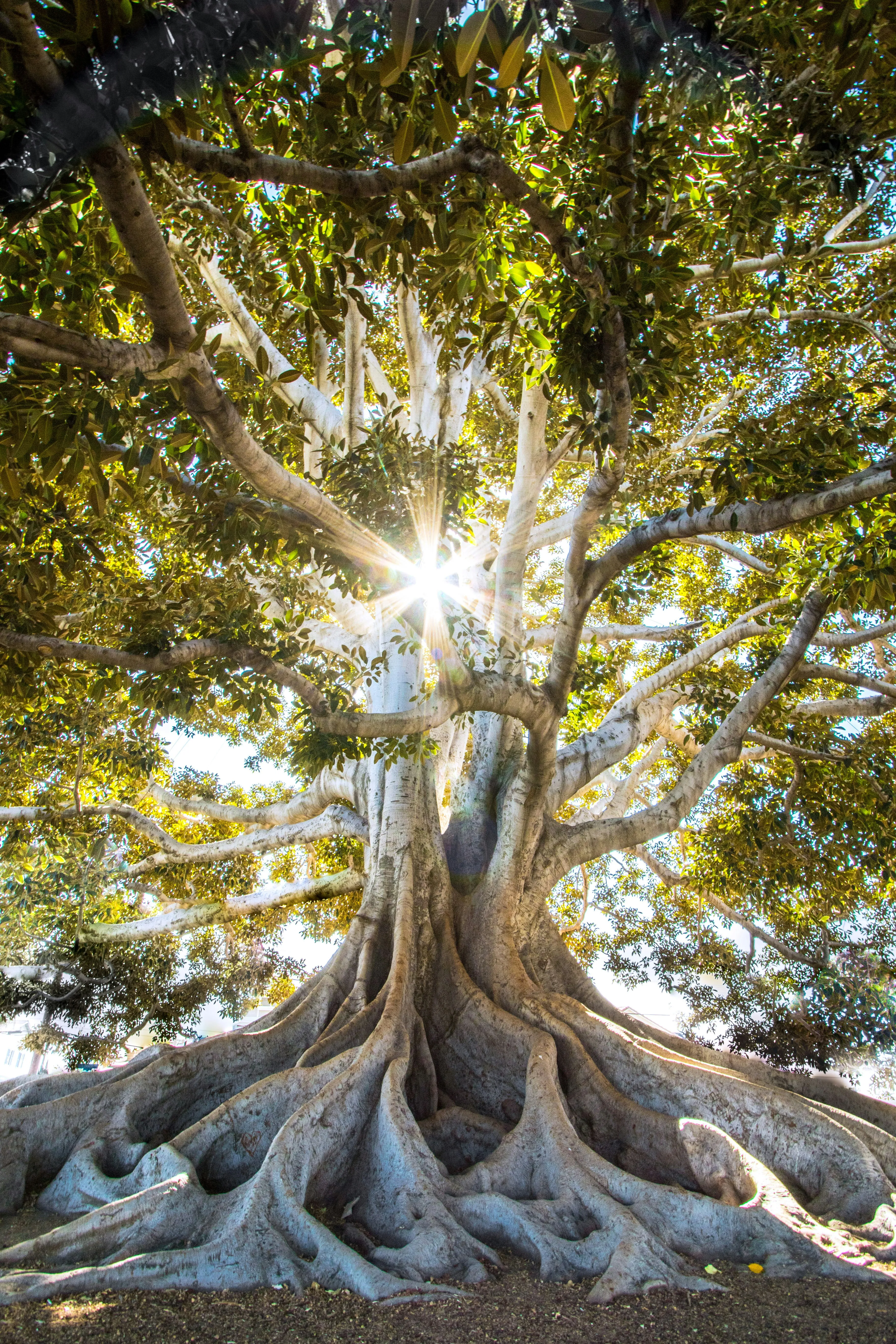 Blog post about The Science Behind Stress: What Actually Happens in Your Body