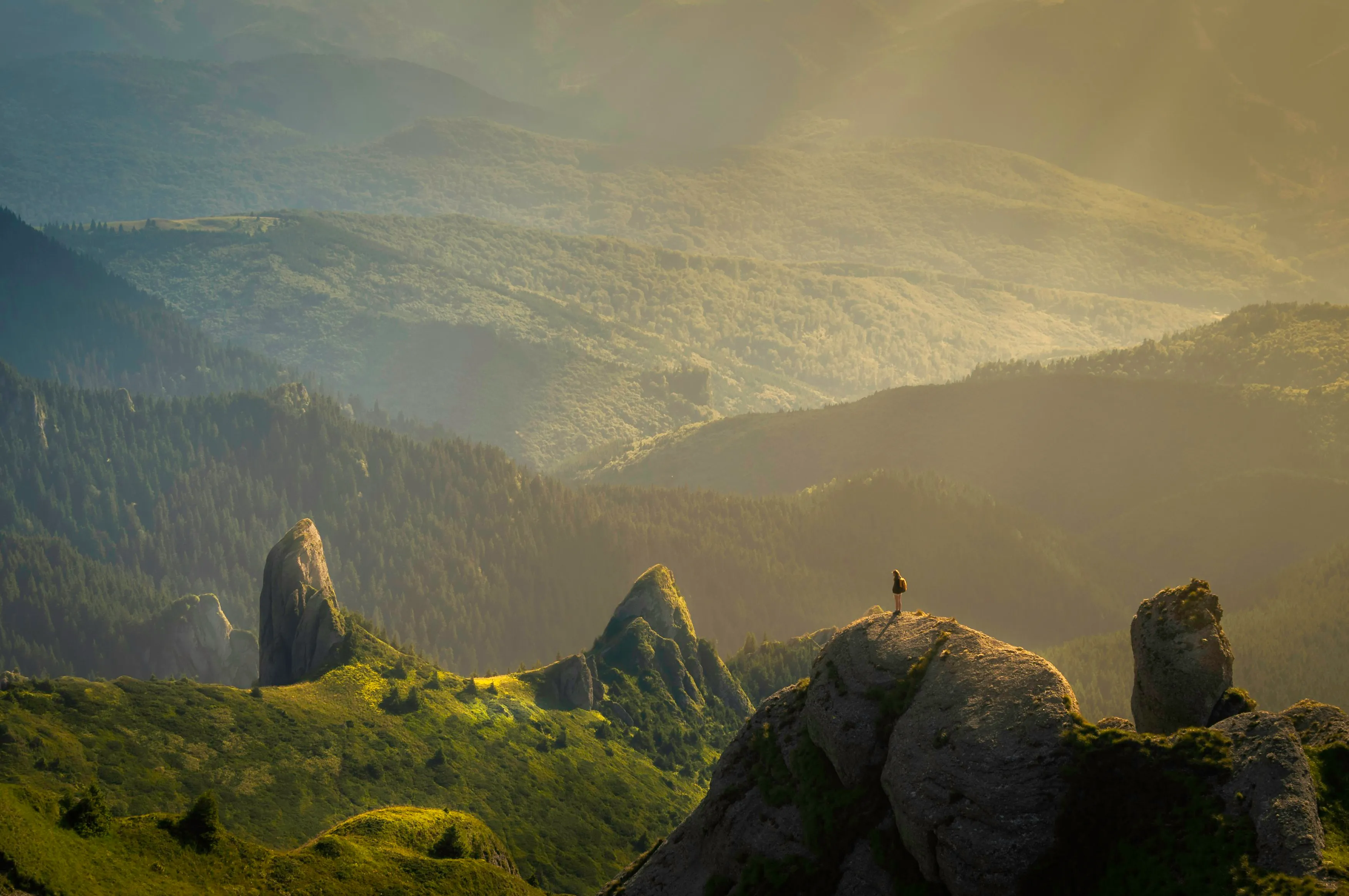 Blog post about Building Resilience: Bouncing Back from Life's Hardest Challenges